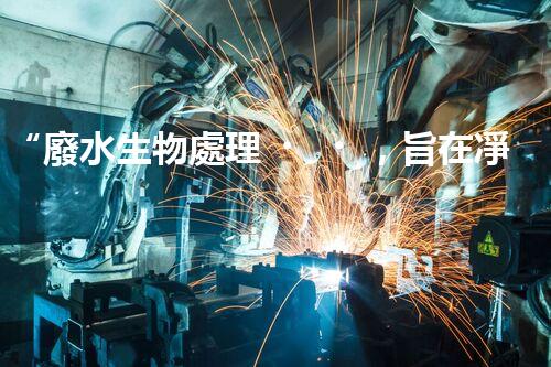 “廢水生物處理，旨在凈化水源，守護(hù)碧水藍(lán)天”